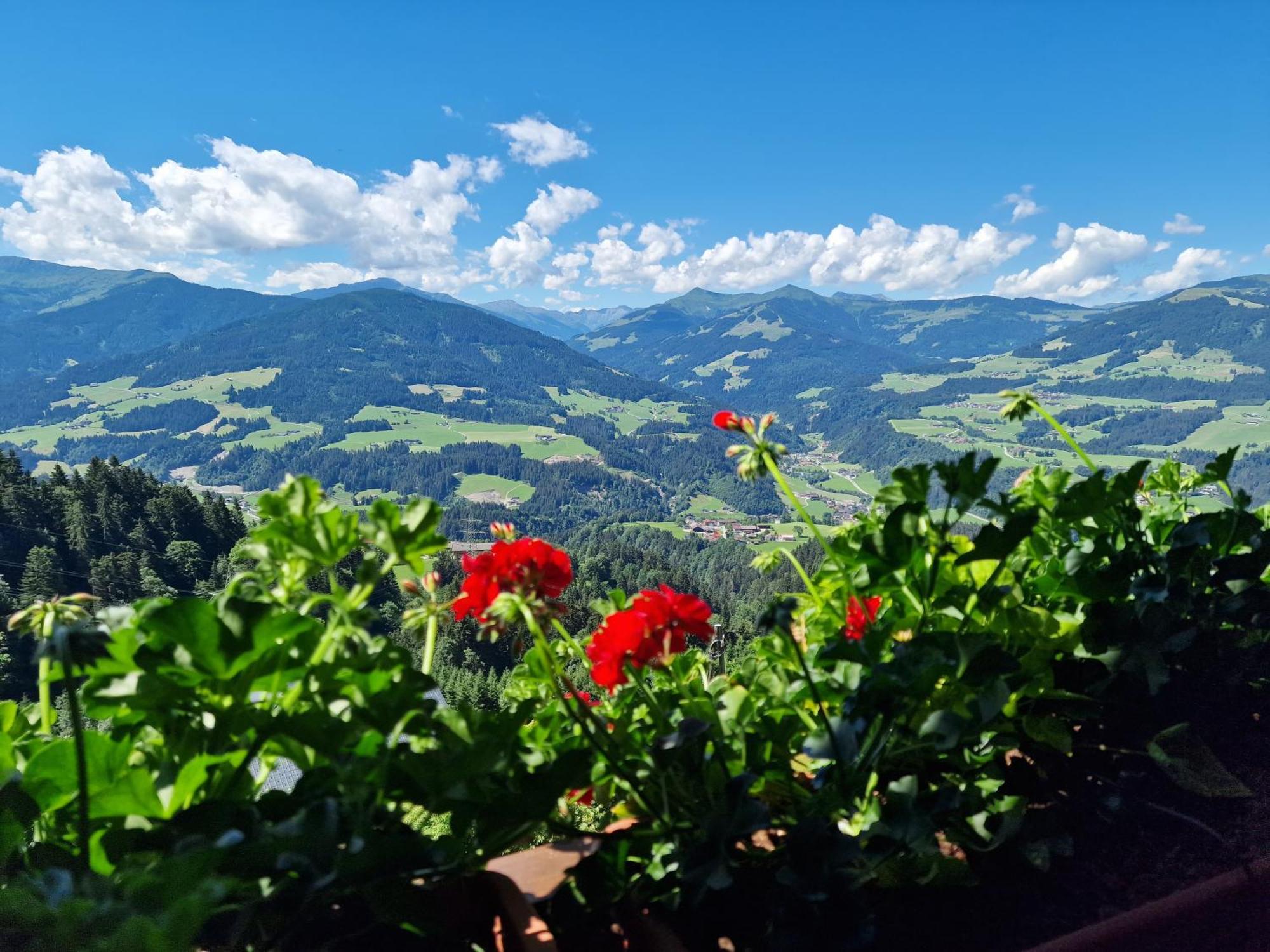 Appartement Oberschernthann Hopfgarten im Brixental Eksteriør billede