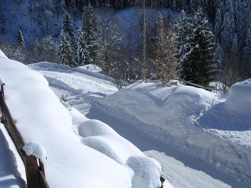 Appartement Oberschernthann Hopfgarten im Brixental Eksteriør billede